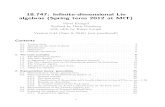 18.747: In nite-dimensional Lie algebras (Spring term 2012 at MIT)grinberg/algebra/etingof-lie.pdf · 2016. 6. 10. · contrast to many Lie algebras appearing in algebraic combinatorics
