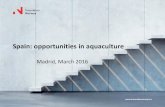 Spain: opportunities in aquaculture · 2020. 6. 16. · salmon, sea bream, Japanese oyster, sea bass, carp, brown algae, clam, and turbot . Spain is a huge market for seafood. The