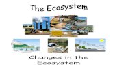 Changes in the Ecosystem - Environmental Systemsmrbreweress.weebly.com/uploads/1/5/0/1/15017624/changes... · 2019. 9. 27. · The Ecosystem – Changes in the Ecosystem Side 6 Environmental