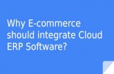 Why E-commerce should integrate Cloud ERP Software