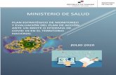 MINISTERIO DE SALUDminsa.b-cdn.net/sites/default/files/general/plan_e... · 2020. 11. 20. · protocolo correspondiente Número de pacientes con resultados positivos Porcentaje de