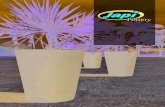 COLLECTION 2017 | 2018 - Japi Pottery · Japi Pottery, as one of the world’s leading resin flower pots producer, brings, in 2015, this exclusive Brazilian stone effect to make your