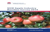 NSW Apple Industry Baseline Survey 2019€¦ · NSW APPLE INDUSTRY BASELINE SURVEY 2019 | 5 Abstract The apple industry is the highest value fruit industry in Australia ($490 million)