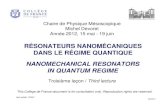 RÉSONATEURS NANOMÉCANIQUES DANS LE RÉGIME …...May 15: Rob Schoelkopf (Yale University, USA) Quantum optics and quantum computation with superconducting circuits. May 22: Konrad