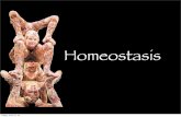 Homeostasis - WordPress.com...Homeostasis Homeostasis - maintenance of a steady internal state Body Temperature Blood Pressure Water Balance Blood Sugar Level pH Balance Reproductive