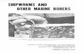 SHIPWORMS AND OTHER MARINE BORERS · 2017. 3. 28. · class Pelecypoda which includes such bivalves as clams, oysters, and mussels. They are members of the family Teredinidae in the