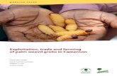 Exploitation, trade and farming of palm weevil grubs in Cameroon … · 2015. 6. 10. · economic activities (agriculture, fishing, hunting, etc.) in the villages studied. The average