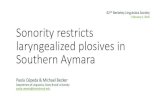Sonority restricts laryngealized plosives in Southern Aymara€¦ · Aymara, Jaqaru, and Kawki. • Currently, Southern Aymara is spoken in Southern Peru, Northern Chile and Western