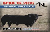 APRIL 16, 2016 N - Superior Livestockimg.superiorlivestock.com/spinfiles/1616/16NelsonCattle... · 2016. 3. 22. · SIMMENTAL • SIMANGUS™ • ANGUS WHERE PERFORMANCE IS BRED ON.