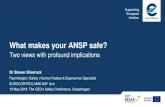What makes your ANSP safe? - SKYbrary · 2019. 10. 22. · What makes your ANSP safe? 3. Adapted from EUROCONTROL (2013). From Safety-I to Safety-II. A White Paper