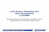 Land surface modelling and Data assimilation at ECMWF · 2008. 11. 25. · Based on ELDAS concept (simplified Extended Kalman Filter) Integrated in IFS (accurate perturbation sensitivity)