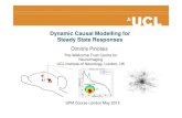 Dynamic Causal Modelling for Steady State ResponsesDynamic Causal Modelling for Steady State Responses Dimitris Pinotsis The Wellcome Trust Centre for Neuroimaging A1 A2 UCL Institute