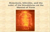 Hemolysis, bilirubin, and the color of the bloodstains on the Shroud … · 2020. 1. 21. · Hemolysis, bilirubin, and the color of the bloodstains on the Shroud of Turin. It has