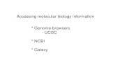 Accessing molecular biology information * Genome browsers ...bio.lundberg.gu.se/courses/vt13/bmm2_ncbi_galaxy_2013_print.pdfoktober‐2011 $ 0.09 $ 7 743. The 1000 Genomes Project