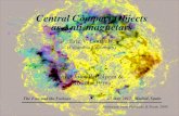 Central Compact Objects as Anti-magnetars...Animation from Patnaude & Fesen 2009 Talk Outline ¥ Properties of CCOs: a Class of Young NS ¥ The CCO Pulsars Timing: the Anti-magnetars