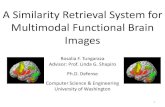 A Similarity Retrieval System for Multimodal Functional Brain ......A Similarity Retrieval System for Multimodal Functional Brain Images Rosalia F. Tungaraza Advisor: Prof. Linda G.