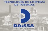 Presentación de PowerPoint - Daissa Petroleum · 2019. 2. 14. · Proceso de Limpieza de Conexiones Superficiales de Control • Procedimiento de Limpieza: 1. Descargar y acomodar