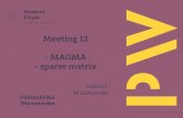 Meeting 12 - MAGMA - sparse matrixwlazlowski.fizyka.pw.edu.pl/pdfs/dydaktyka/NTO/meeting... · 2020. 5. 27. · Name: Gabriel Surname: Wlazlowski E-mail: gabriel.wlazlowski@pw.edu.pl