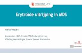 Erytroïde uitrijping in MDS NVC Westers MDS-e… · Vit.B12-def. Fe-def. 8622 NBM006 normal Dysplastic erythroid immunophenotypes associated with MDS NVC| November 2020. MDS vs.