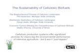 The Sustainability of Cellulosic Biofuels€¦ · The Sustainability of Cellulosic Biofuels Carbon Costs of Field Crop Activities at KBS Soil Carbon Fuel N-Fertil. Lime N 2OCH 4 Net