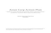 Asian Carp Action Plan · 2011. 11. 2. · Asian Carp Action Plan – 11/2/2011 This plan lays out a step-wise approach to assess the threat posed by Asian carp and describes efforts