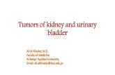 Tumors of kidney and urinary bladder€¦ · Tumors of kidney and urinary bladder. Overview of kidney tumors ... cell carcinoma …followed by Wilms ~nephroblastoma) …followed by