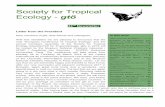 Letter from the President In this issue - soctropecol · 2018. 1. 30. · Prof. Dr. Manfred Niekisch President of the Society for Tropical Ecology (gtö) Grey mouse lemur (Microcebus