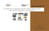 CVQ Occupational Standard in Small Engine Repairs · 2016. 7. 11. · To perform housekeeping duties To undertake interactive workplace communication To perform manual handling and