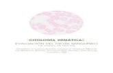 citología hemáticaalvefas.org/Citologia-hematica.pdf · 2016. 1. 29. · citología hemática: evaluación del frotis sanguíneo T.W. Campbell, MS, DVM, PhD department of clinical