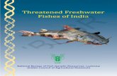 Threatened Freshwater Fishes of India - NBFGR · List of Freshwater Fish Species of India under Threatened Category 11 10. List of Fish Species under Indian Wildlife (Protection)