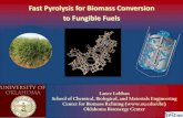 Fast Pyrolysis for Biomass Conversion to Fungible Fuels...Volumetric Chemisorption System (Turbo V70 mini pumping station Varian) • Microcalorimeter (Setaram DSC111) • X-ray Photoelectron