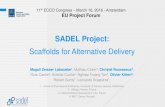 SADEL Project - ecco-ibd.eu ECCO Marc… · SADEL Project: Scaffolds for Alternative Delivery Magali Zeisser Labouèbe1, Mathieu Cinier2, Christel Rousseaux3, Rute Castro 4, António