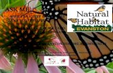 National Wildlife Federation · Web viewHOW CAN I HELP EVANSTON BECOME A COMMUNITY WILDLIFE HABITAT? Limited funding to help you certify your garden, courtesy of Highland Garden Club