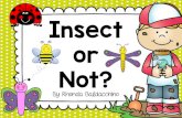 Insect or Not? - basd.k12.pa.us or Not Activity.pdf · bee rabbit turtle worm ant dragonfly snail lizard butterfly beetle grasshopper frog ladybug bird Insect or Not? Insects have