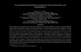 Neuromimetic Sound Representation for Percept Detection ...developed in the mammalian auditory system for coding of spectro-temporal characteristics of the sound [4], [22]. The primary
