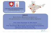 PRES SIRIUS ES CR 2017 - University of Lausanne · 2017. 9. 12. · UNIL / MIDS SIRIUS Project 3 Combination between -UNIL: quantitative approach of cities’ systems and multinational