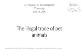 The illegal trade of pet animals - European Commission...2020/06/15  · Pet animals offered for sale in pet shops must originate from: registered breeding or from legal or natural