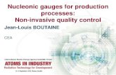 Nucleonic gauges for production processes: Non-invasive quality … · 2015. 10. 29. · Other equivalent terms: “radioisotopic gauges”, “radionuclide gauges”, “nuclear
