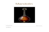 Mandolin · 2021. 1. 9. · Types of Mandolin Flat back Bowl back A type F type Octave Mandola Cittern Mandocello Mandobass . F Style A Style Flat Back Bowl Back Bowl Back. The Family.