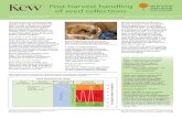 Post-harvest handling of seed collections Technical Information Sheet 04 Kate Gold ...brahmsonline.kew.org/.../04-Post-harvest-handling.pdf · 2018. 4. 30. · Post-harvest handling