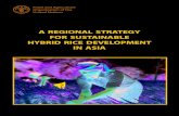 A REGIONAL STRATEGY FOR SUSTAINABLE HYBRID ...strategy document, including Dr. Bui Ba Bong, FAO Senior Agricultural Officer (Rice Expert). I am honored to present the Regional Hybrid