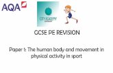 GCSE PE REVISION BOOKLET - City Academy · 2020. 4. 1. · Functions of the skeleton: Protection –protects vital organs –ribs (heart and lungs) - cranium (brain) Support/Structure