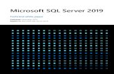 Microsoft SQL Server 2019contentit.ingrammicro.eu/webmarket/ImfoEMAIL_PM/Alessia/...Microsoft SQL Server 2019 4 Introduction The changing demands of data The world of data is changing
