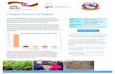 Ginger Sector in Nepal Factsheet.pdfGinger Sector in Nepal In 2015, the global ginger production was estimated at 2,479 thousand metric tons (MT) with India being the largest producer