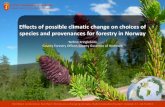 Effects of possible climatic change on choices of species ... · NordGen conference: Northern forests in a changing climate, Hallormsstaður/Eastern Iceland, 17.-18.9.2013 Fokus for