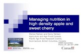 Managing nutrition in high density apple and sweet cherryhigh density apple and sweet cherry Denise Neilsen and Gerry Neilsen ... Blossom blast Surface cracking Boron deficiency. 0