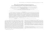 Basal ganglia organization in amphibians: Chemoarchitecturedevneuro.org.uk/marinlab/uploads/publications/1173-basal...procedures to study the chemoarchitecture of the basal telencephalon