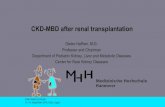 CKD-MBD after renal transplantationcairopedneph.com/document/Management CKD-MBD after KTx.pdfCKD-MBD after renal transplantation Dieter Haffner, M.D. Professor and Chairman Department