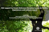 FAO support to Forest Reference Emission Levels for REDD+ ...redd.ffpri.affrc.go.jp/events/seminars/_img/_20180207/1...2018/02/07  · • Report on the significant country progress