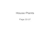 (17.02) House Plants (pg 22-27) - Havelock Agricultural …havelockag.weebly.com/.../_17_02_house_plants_pg_22_27_.pdfLeaves in rosettes Flower cluster in shades of pink, white and